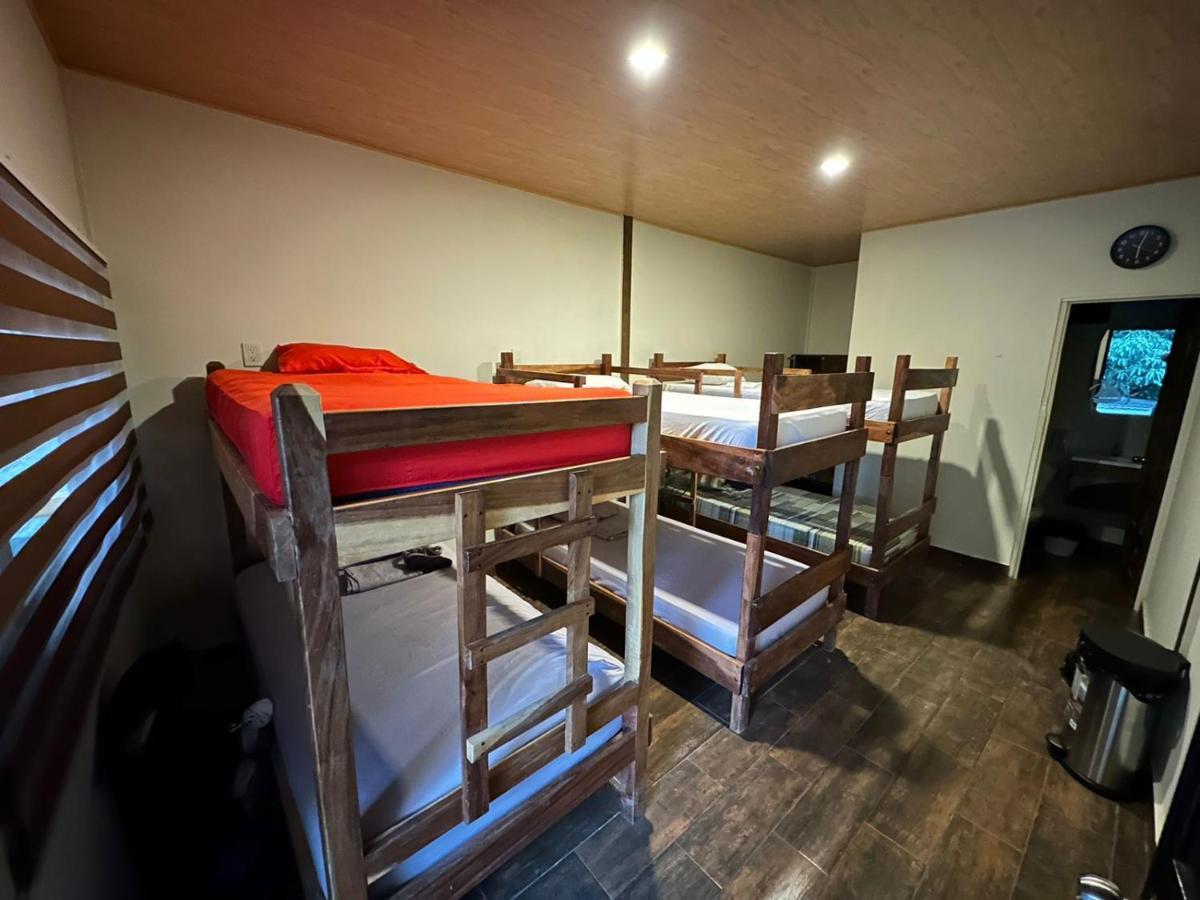Bunk Bed in Mixed Dormitory Room